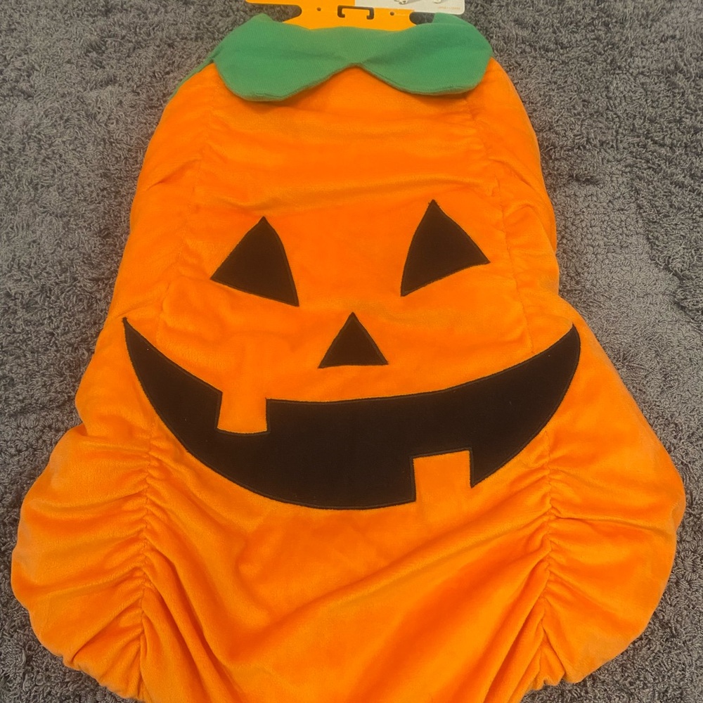 Pumpkin Jack O'Lantern Dog Costume - Orange - Picture 3 of 7
